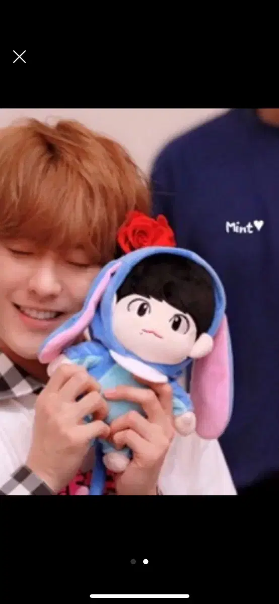 Lee Minhyuk doll Hertadong