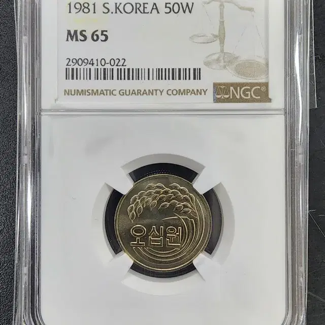 1981년 50주 NGC MS65 등급 주화 동전