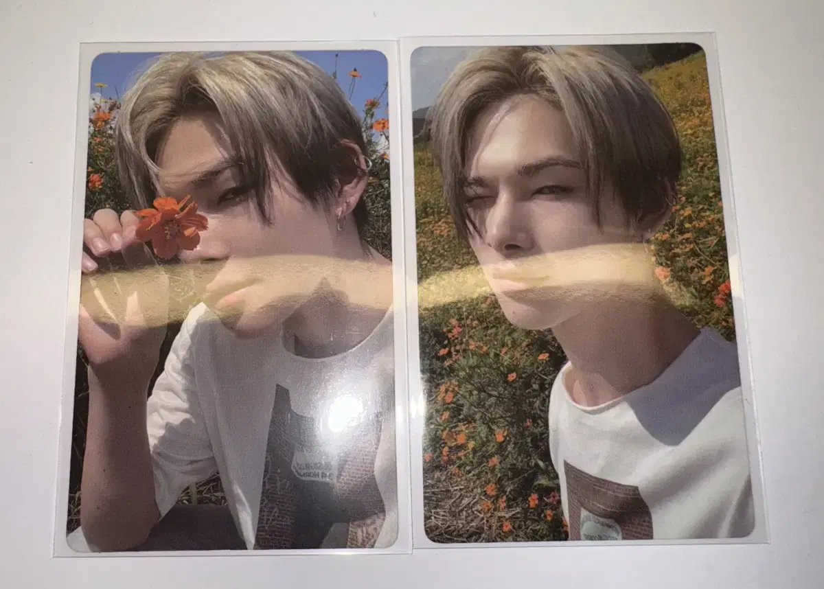 Best Price) enhypen ni-ki Orange Blood Weavers Vahn Photocard