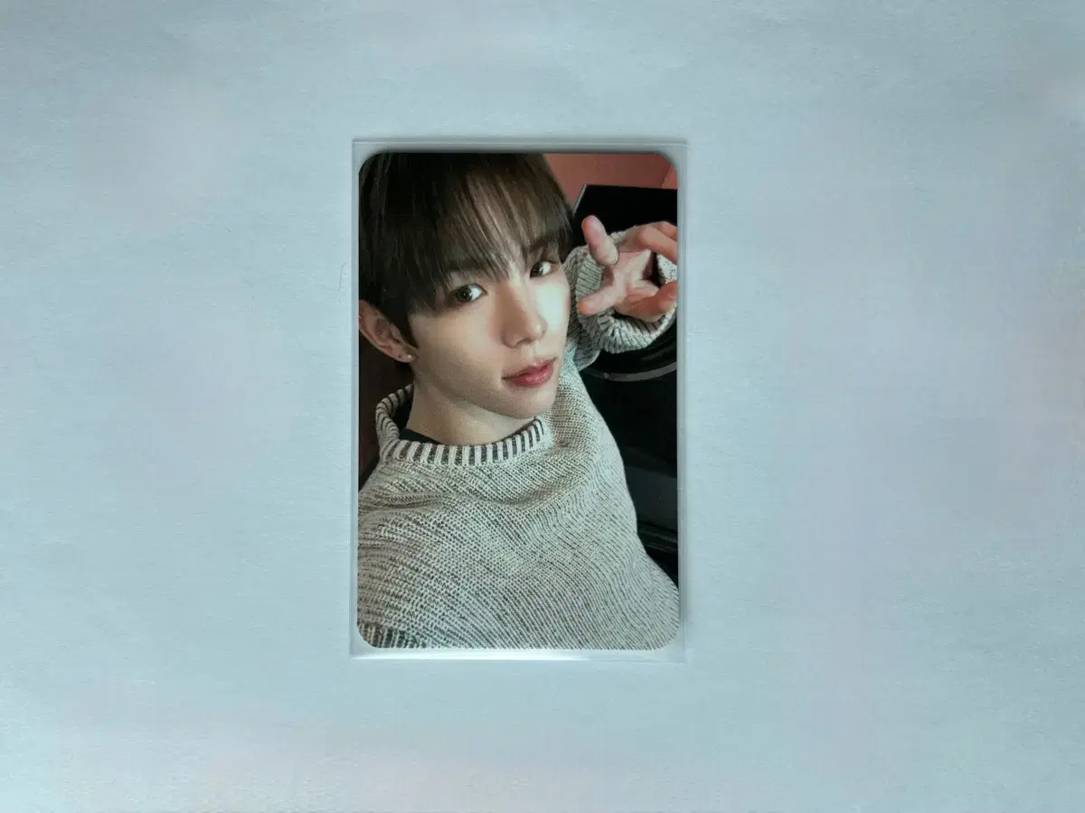 Rize pop up shotaro 10만원 special photocard WTS