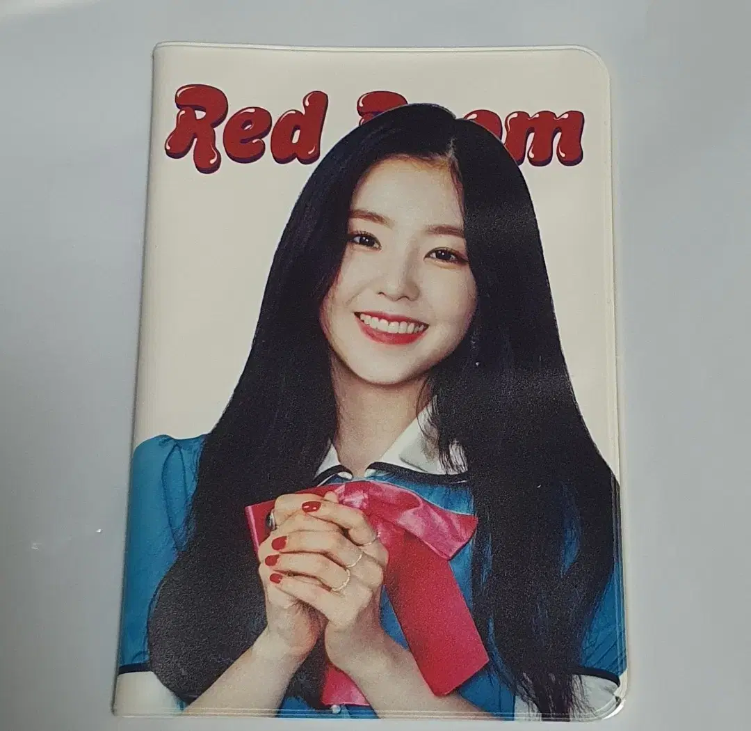 Irene Red Room Passport Case