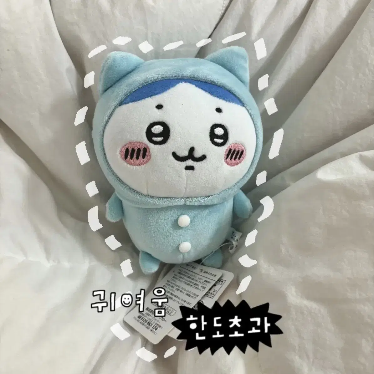 치이카와 일본직구 하늘색후드 고양이