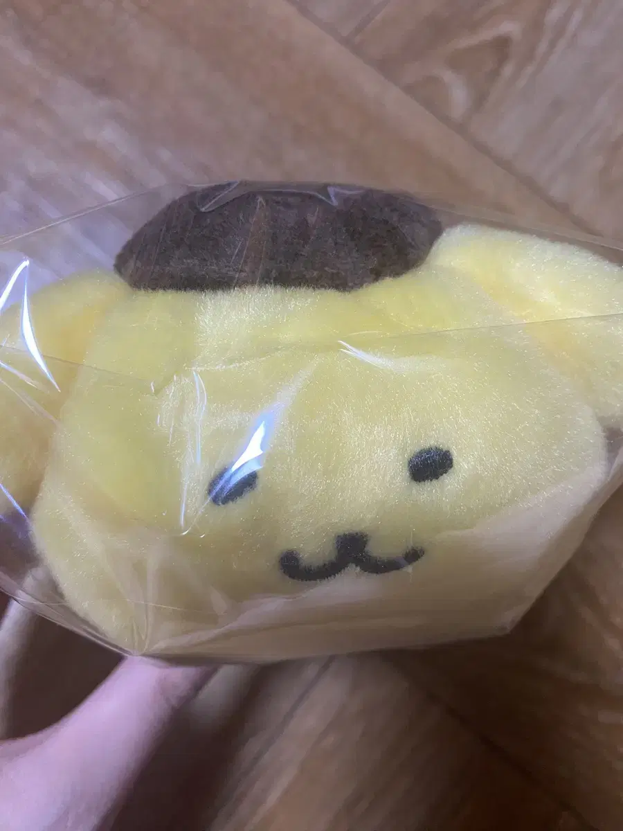 Nagano Pompompurin Nesso Vari