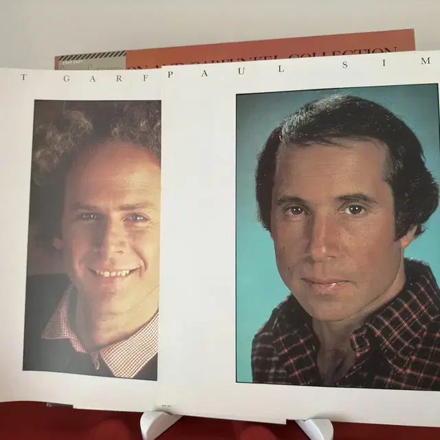 The Simon And Garfunkel Collection(LP)