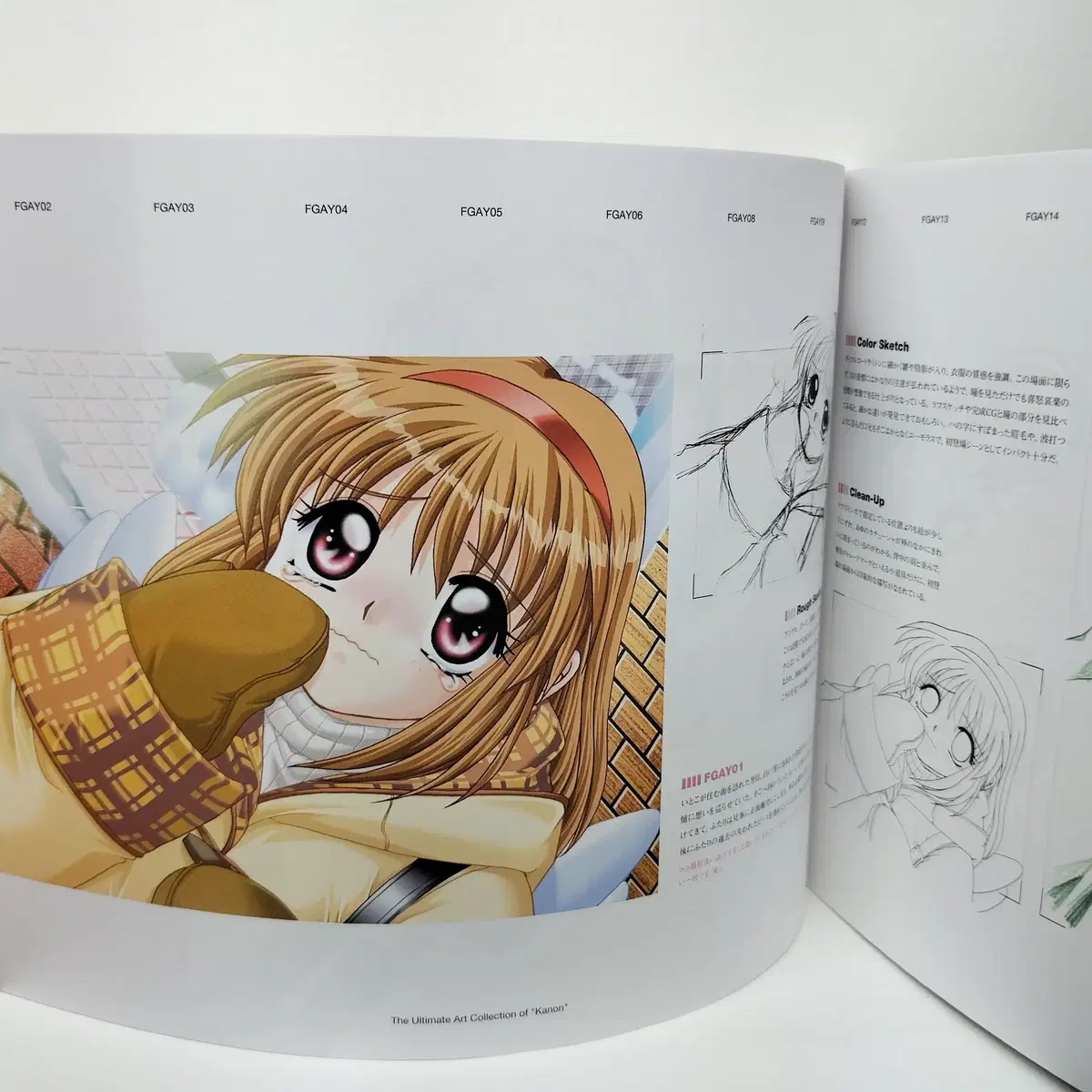 Canon Setting Data Book # Art Book Collection of Paintings Figures Anime Goods