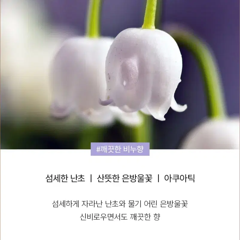 스미다 유즈 헤어 퍼퓸 엔드리스 썸머