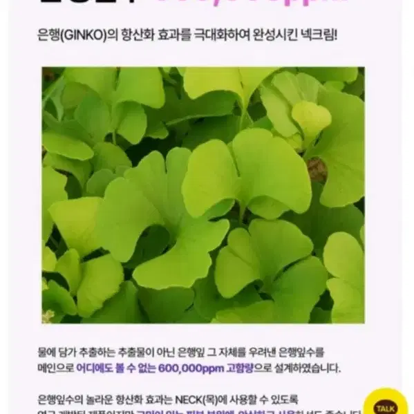 벨르제이  징코 넥크림(미개봉 새상품) 목주름, 잔주름,관리