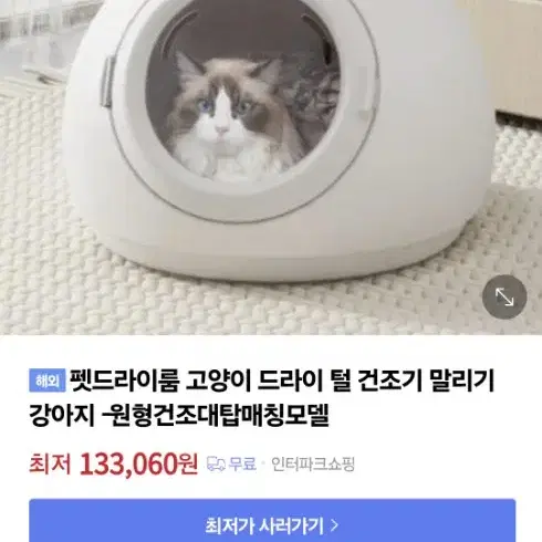 고양이펫드라이룸