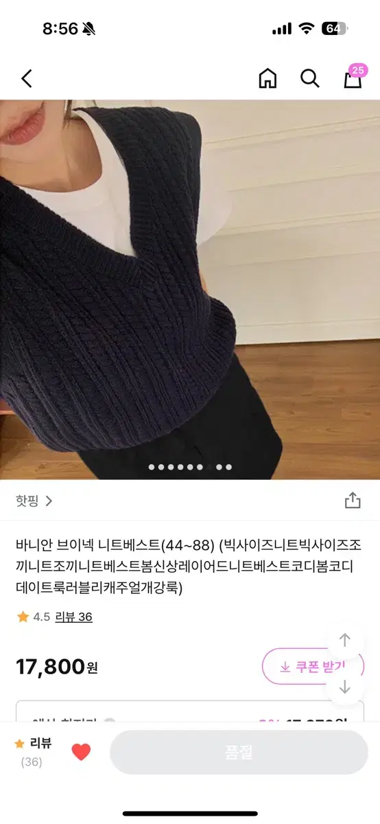 핫핑 바니안 브이넥 니트 베스트 네이비