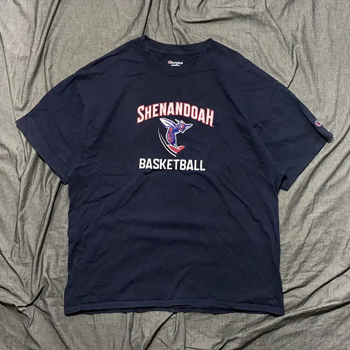 Champion Athletic T shirts Sz XL