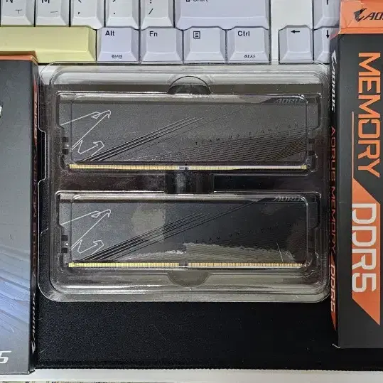 GIGABYTE AORUS DDR5-5200 CL40 패키지 (32GB(