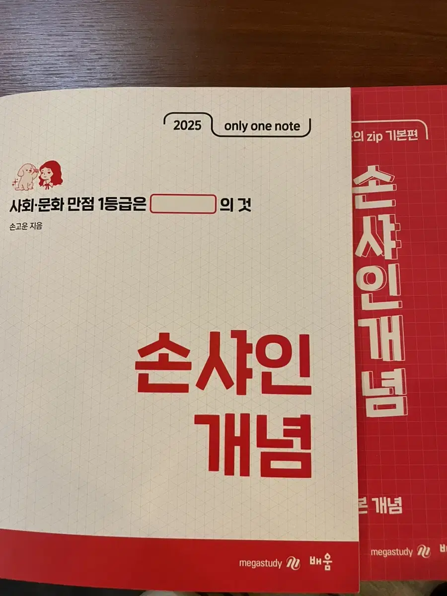 사회문화 메가스터디 손고운 손샤인 개념