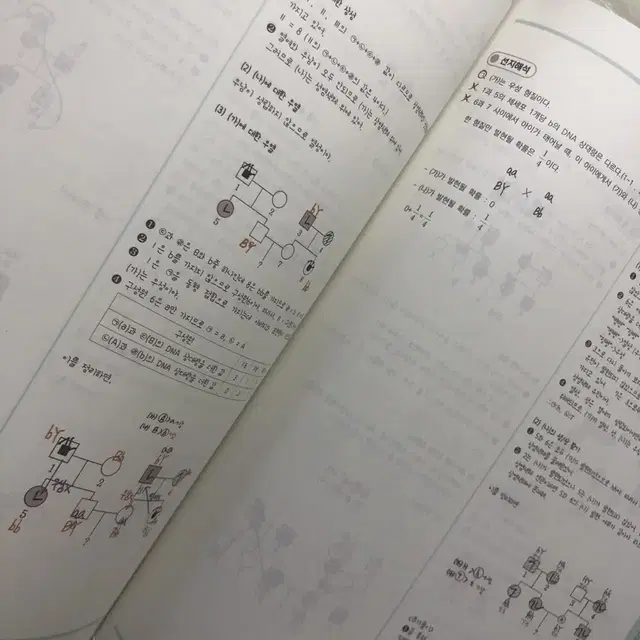 시대인재 한혜선T Root 유전, 비유전 판매합니다.