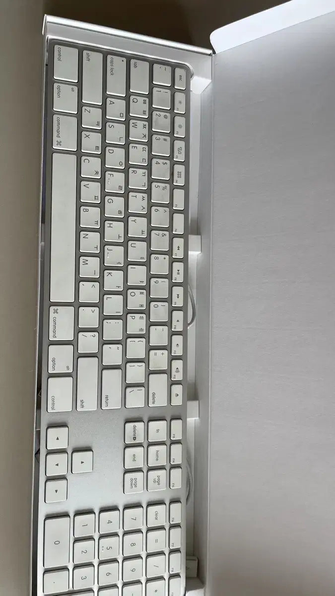 Apple Keyboard A1243