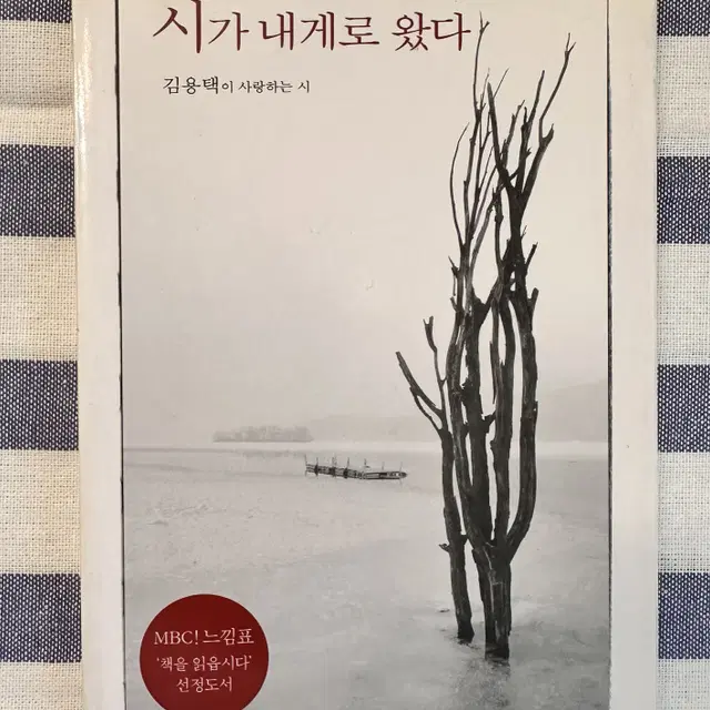 [책] 시가 내게로 왔다 / 진달래꽃