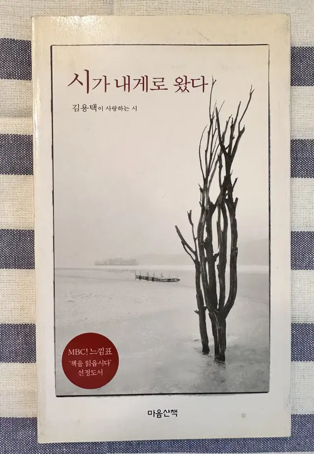 [책] 시가 내게로 왔다 / 진달래꽃