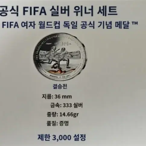 FIFA (2011년)여자 월드컵(독일)