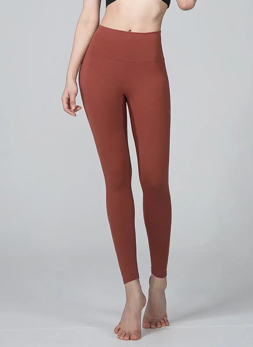 Jexmix CellarVUp 3D Plus Leggings Autumn Glaze M (XP9156T)
