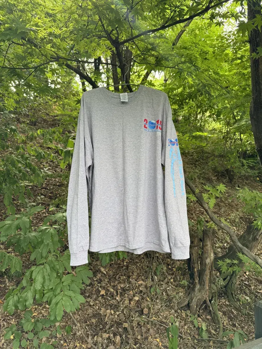 Audi alphine official L/S tee