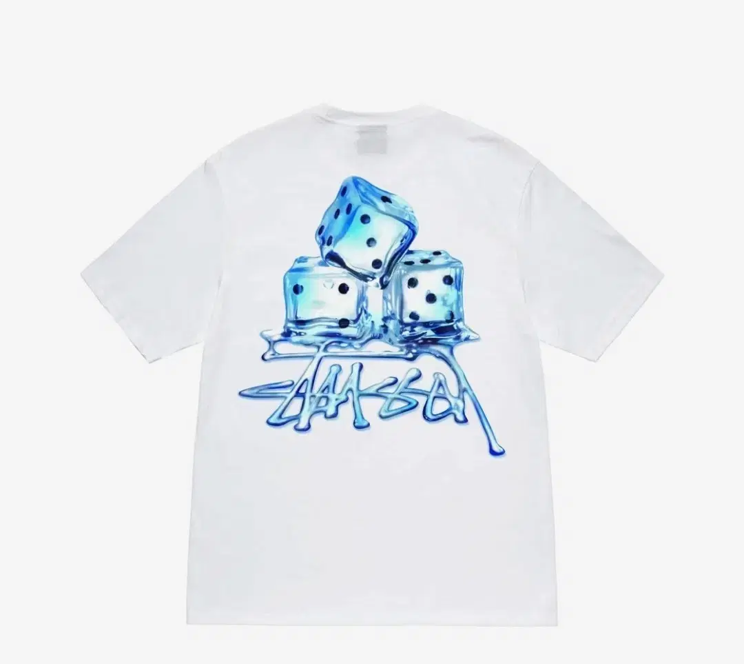 [L]Stussy Melted T-Shirt White