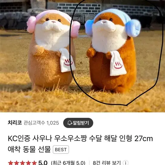 인형 가격 제시