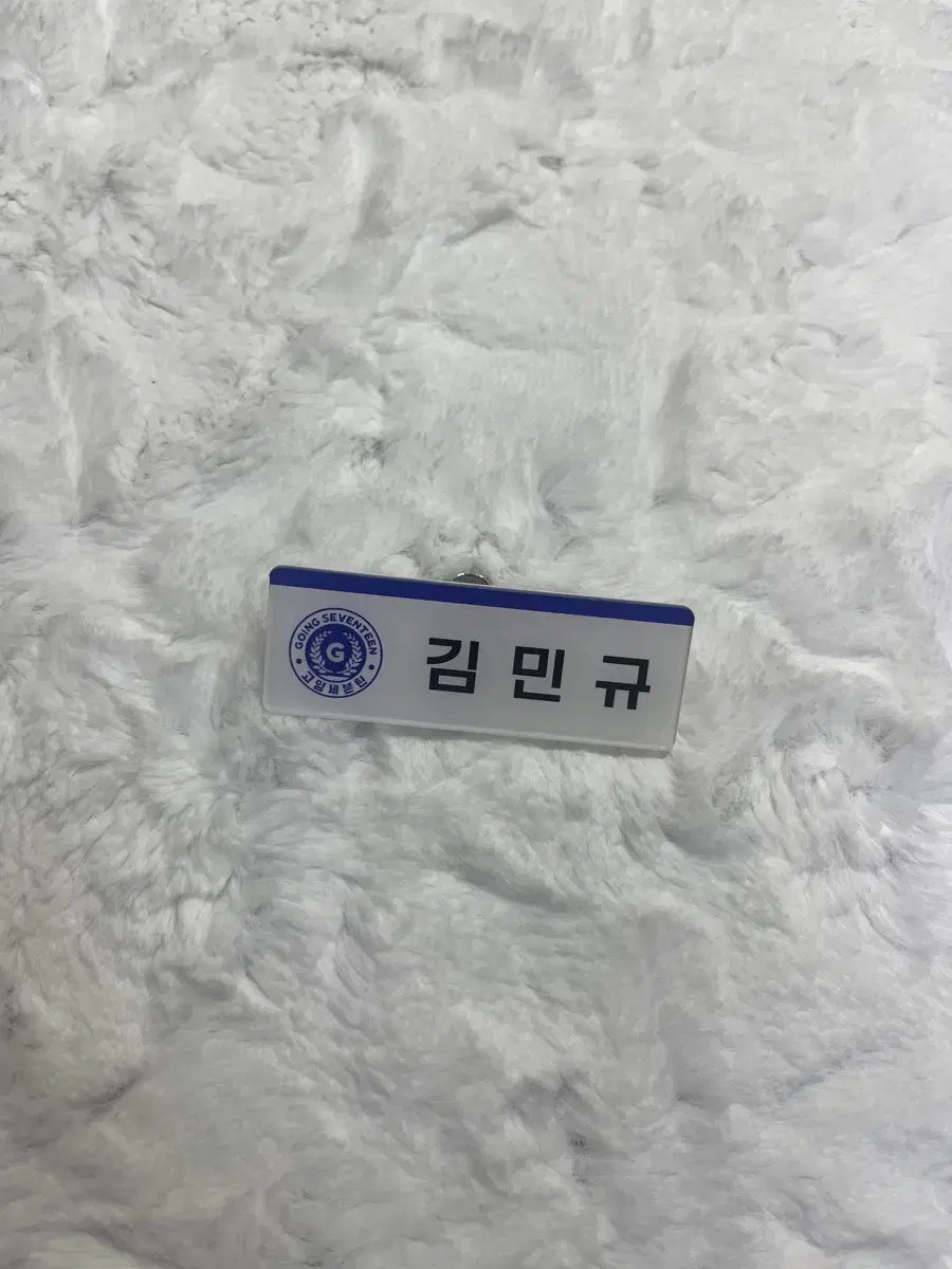 Seventeen mingyu sells sebongo name badges