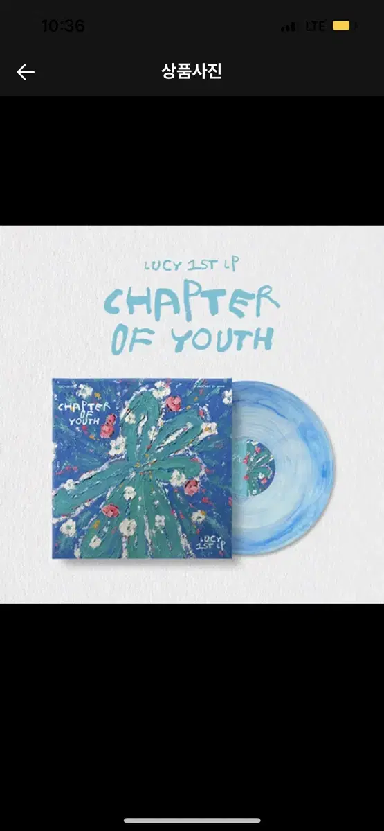 LUCY 루시 1st LP Chapter Of Youth 미개봉 양도