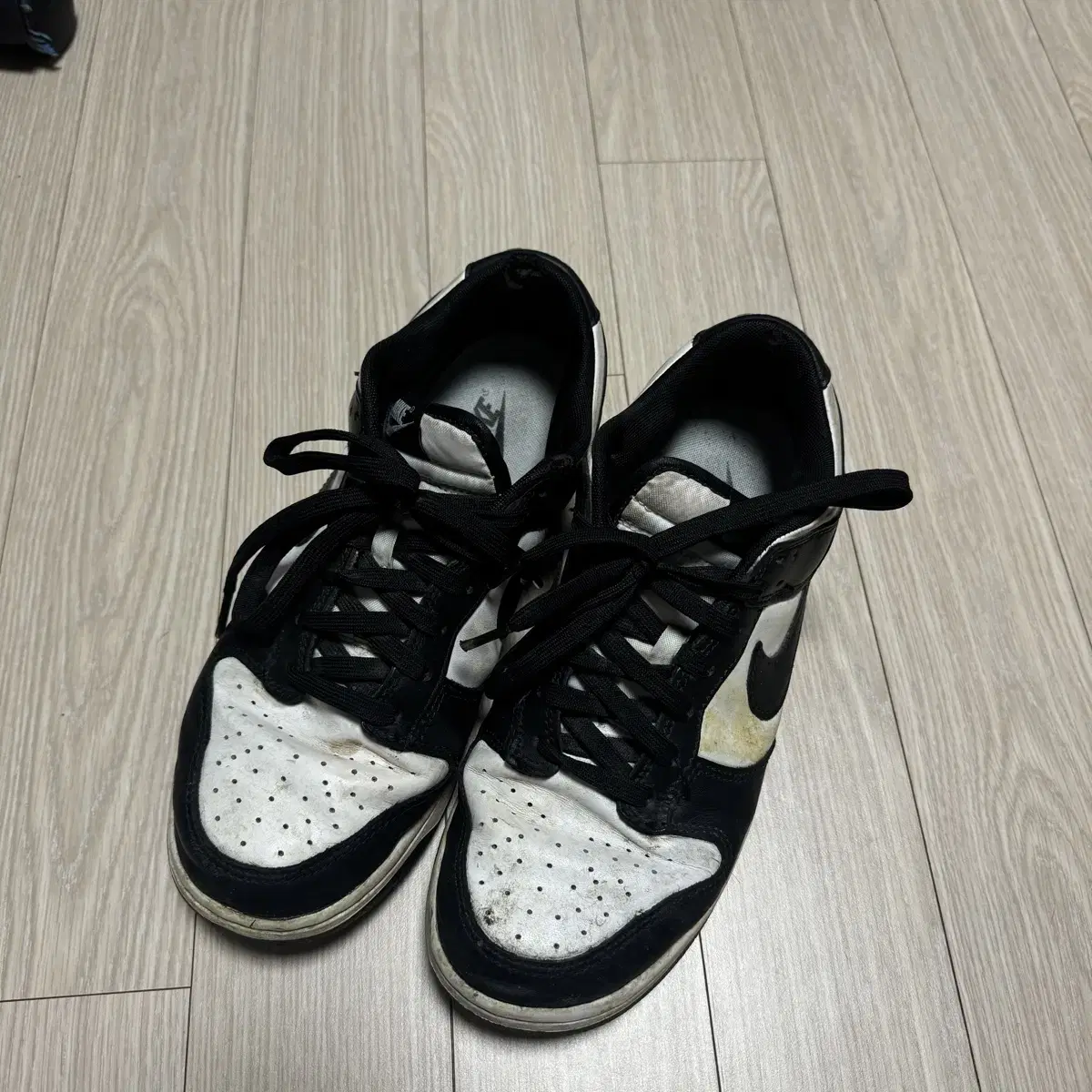 Nike Dunk Low Killer Whale 270