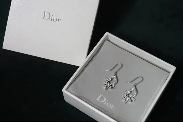 DIOR 정품 별 오블리크 귀걸이 상태최상