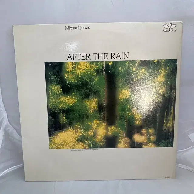 MICHAEL JONES AFTER THE RAIN  LP / C2208