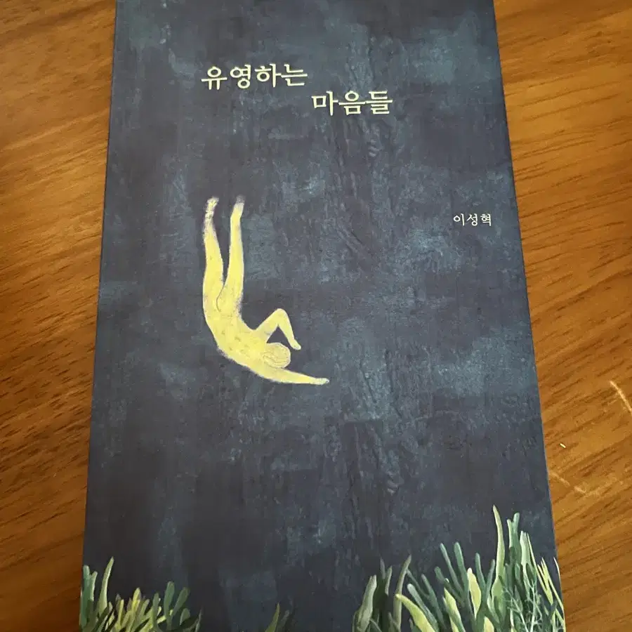 소설, 에세이 도서책