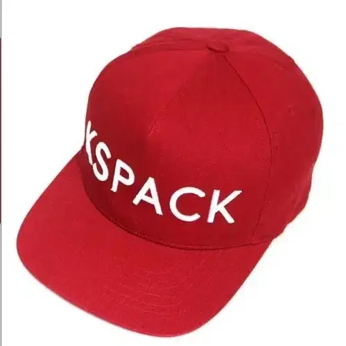 KSPACK 스냅백