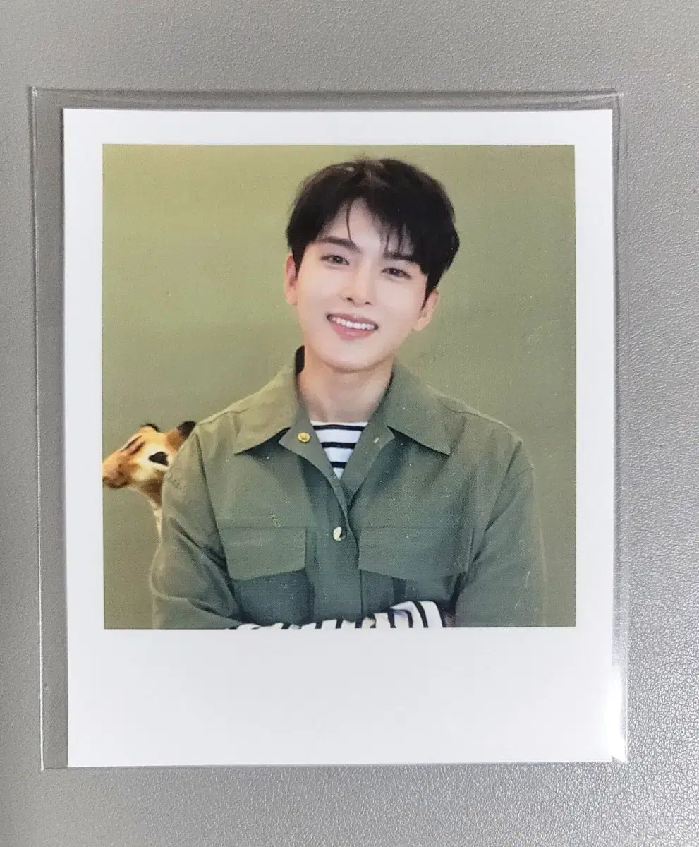 unsealed) ryeowook seasons greetings pre-order benefit polaroid wts super junior zuu