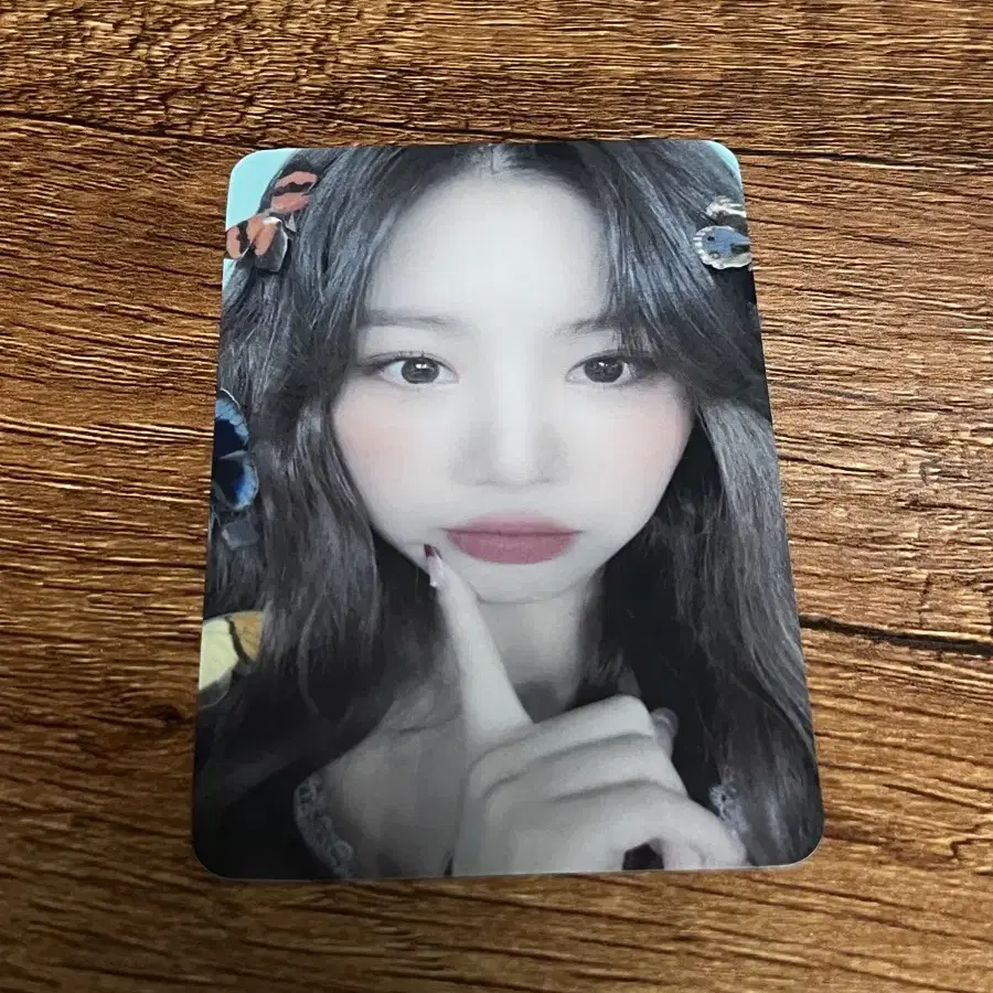 나비수진 포카