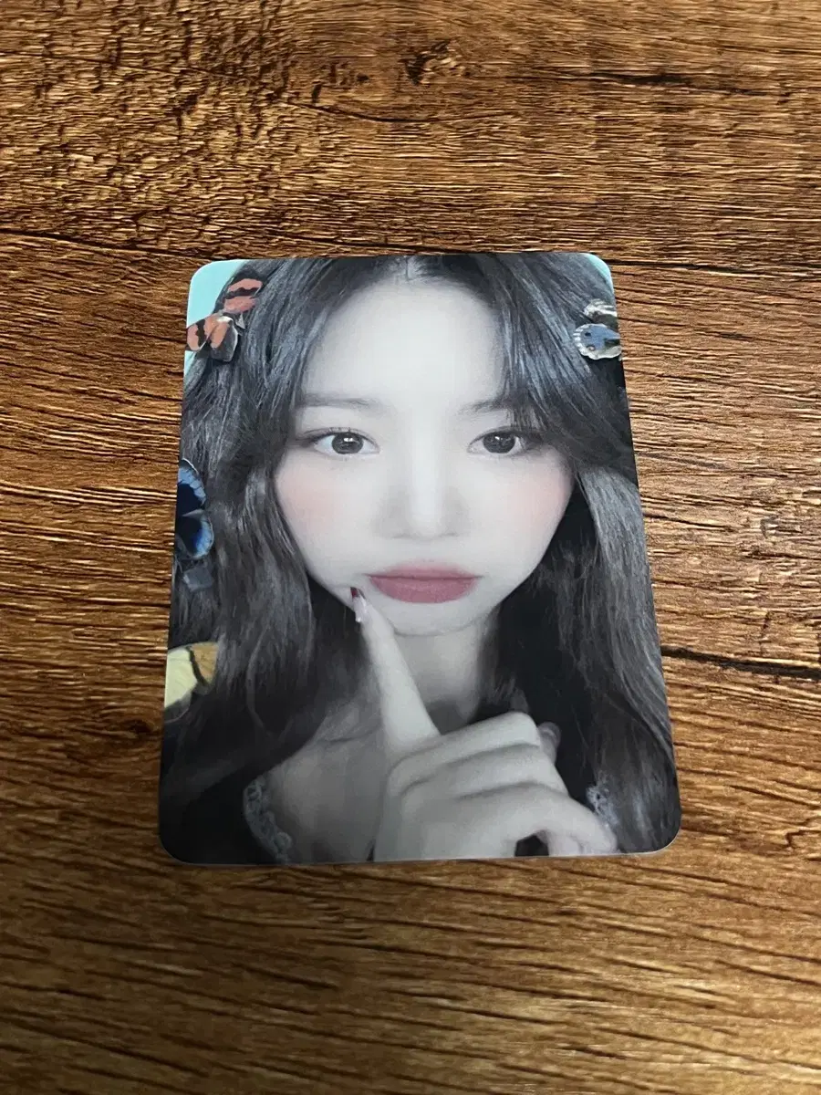 나비수진 포카