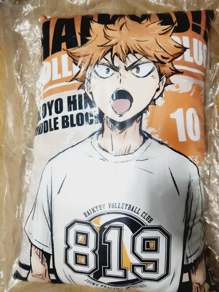 Haikyuu Jump Shop Goods Cushion Pillow Double-sided pillow? I sell it