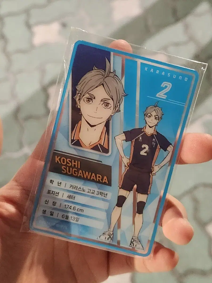 Source) haikyuu TheHyundai pop up Sugawara Koshi