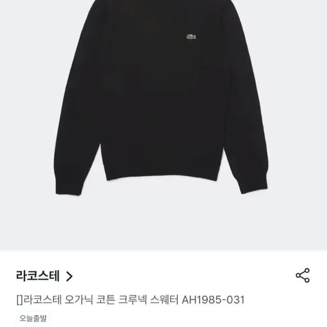 S급) 23FW 라코스테 니트 (M)