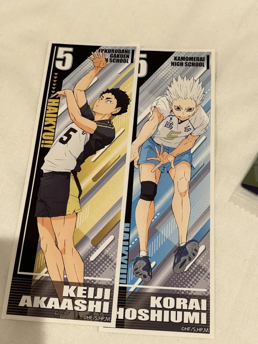 Haikyuu Long Sticker Akaashi Hoshiumi