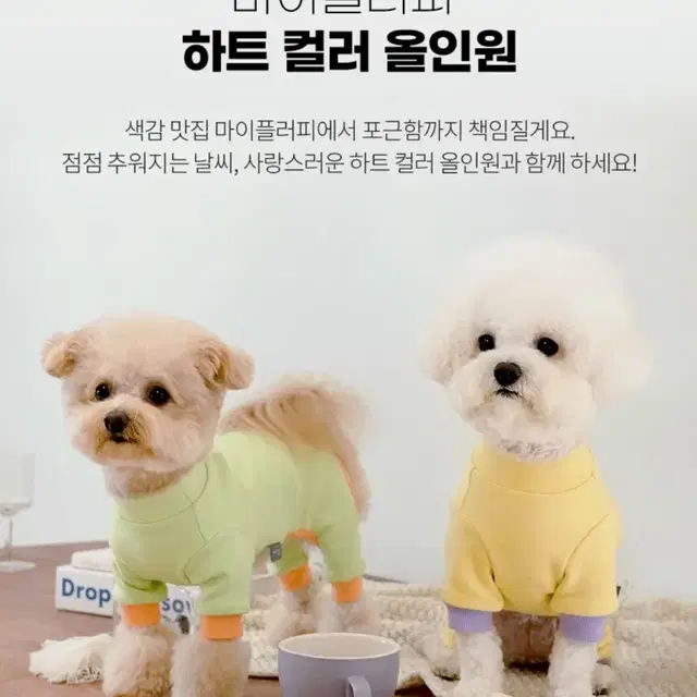 [M] 마이플러피 하트 컬러 올인원