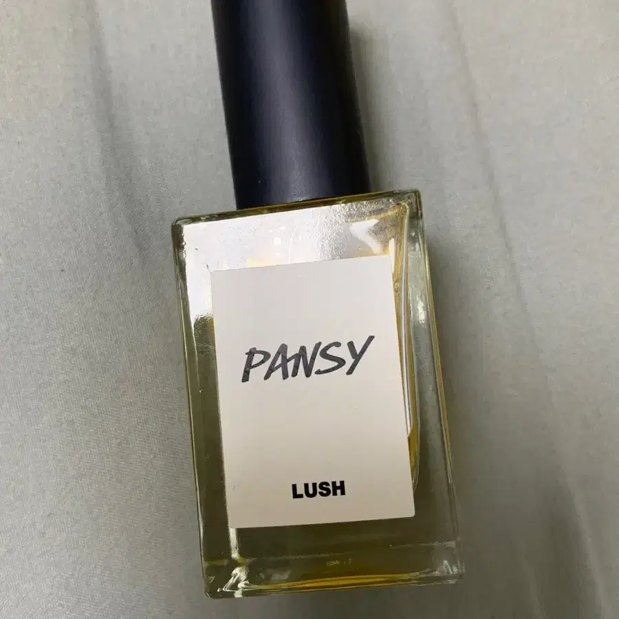 러쉬 pansy