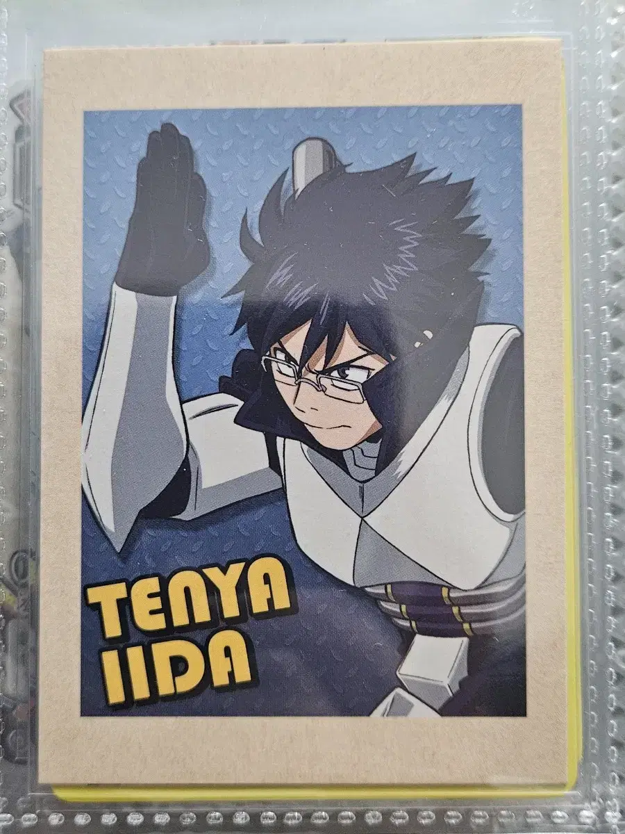 My Hero Academia Iida Tenya Pasha