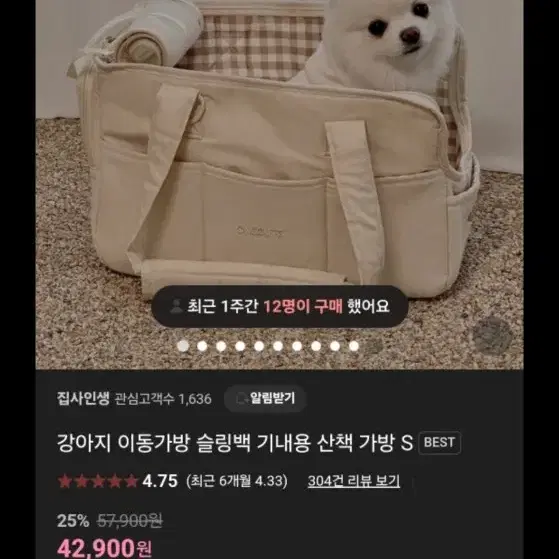 강아지 이동가방