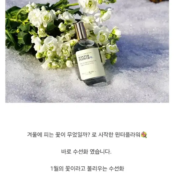 텀블벅 누아블랑 겨울 윈터플라워 향수 100ml