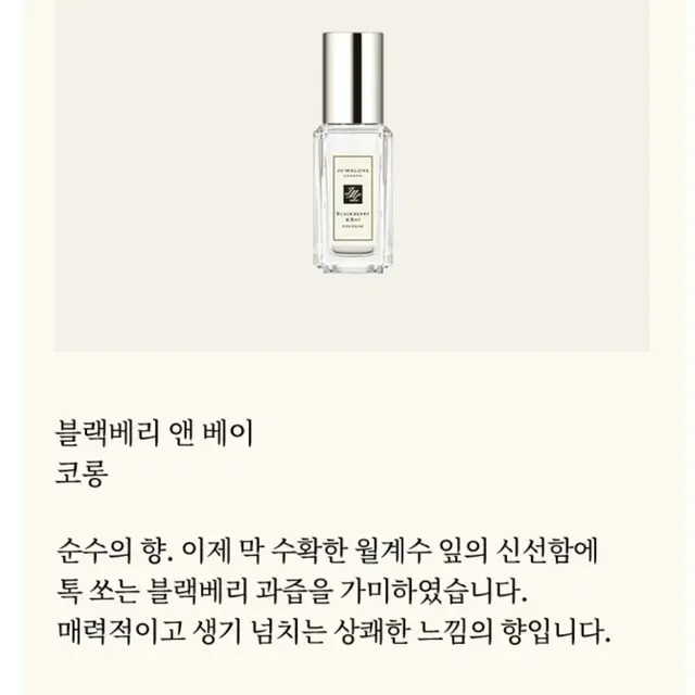 새상품)조말론런던 코롱 9ml 블랙베리 앤 베이