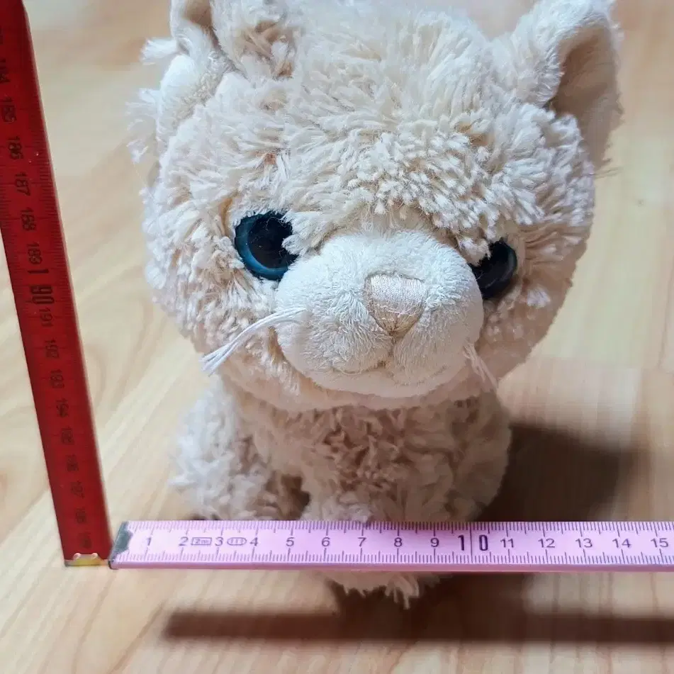 독일에서 사 온 파란눈의 고양이 인형