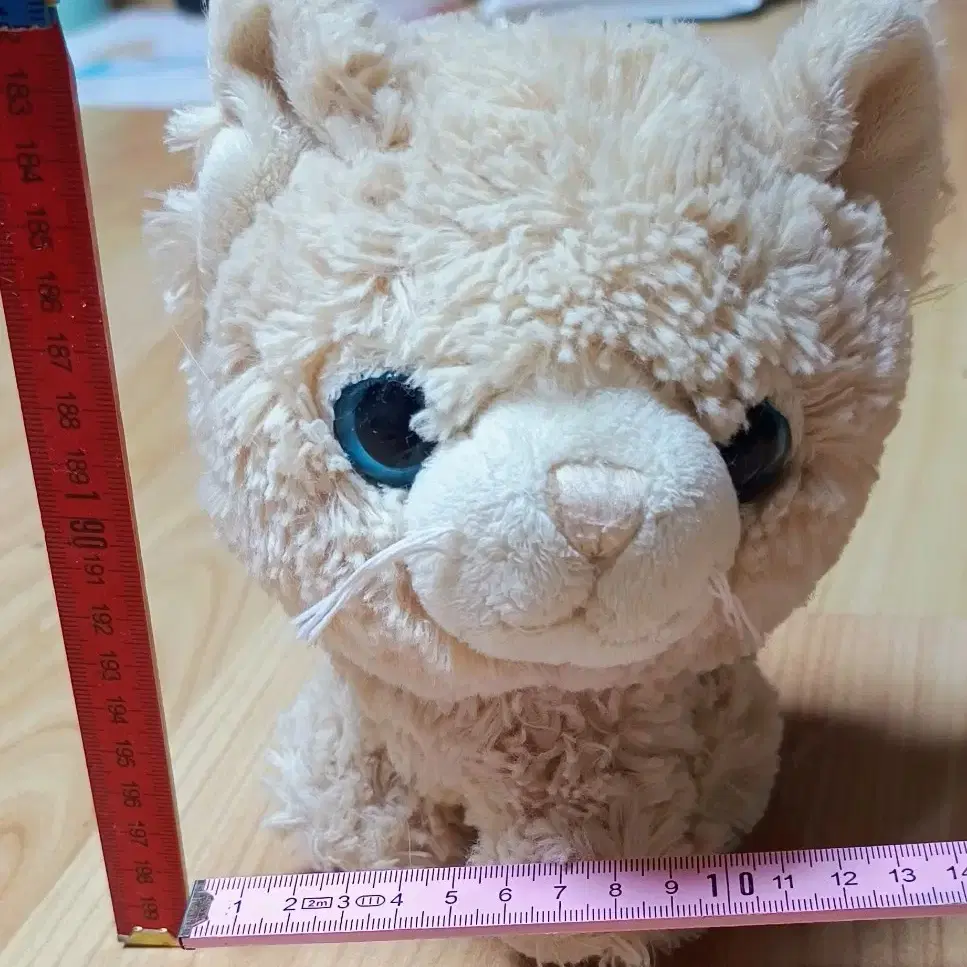 독일에서 사 온 파란눈의 고양이 인형