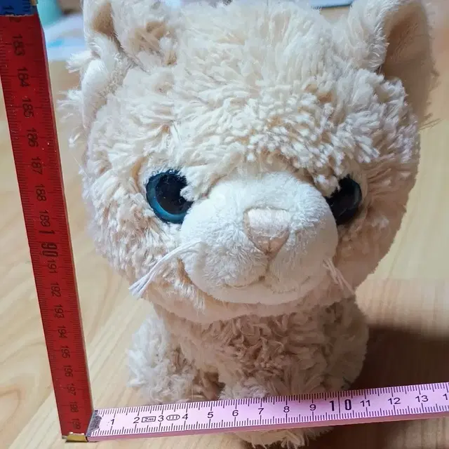 독일에서 사 온 파란눈의 고양이 인형