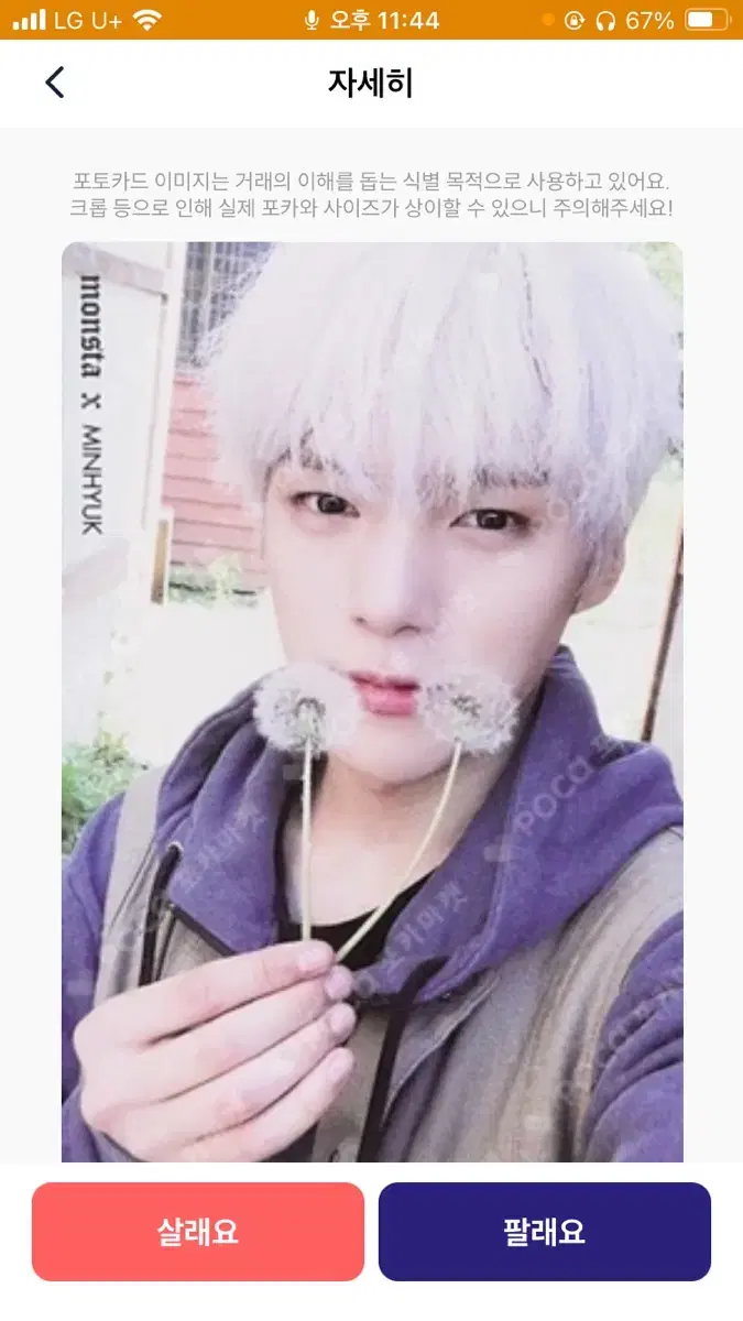 dandeliondang minhyuk photocard sell 急處