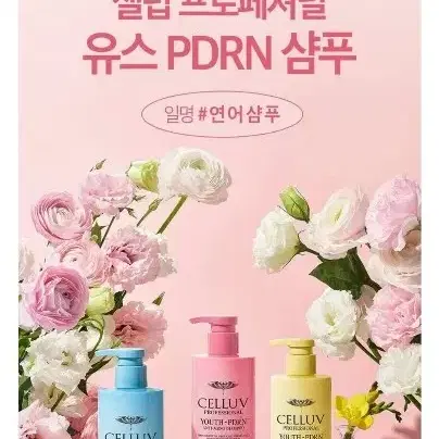 셀럽 프로페셔널 유스 PDRN 탈모방지샴푸